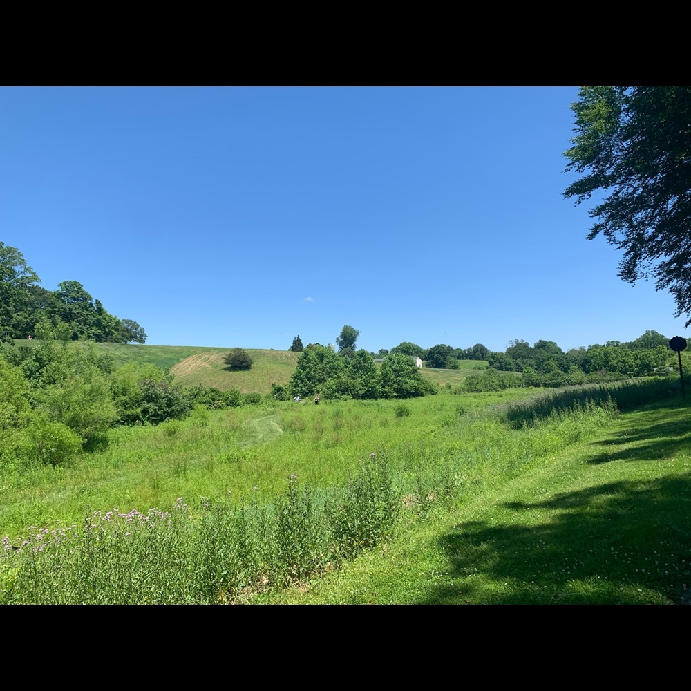 Meet your Posher, Shannon